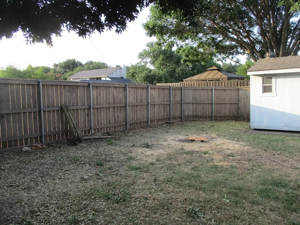Cleared yard after professional tree removal in Hickory